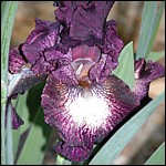 DSCN0069.JPG